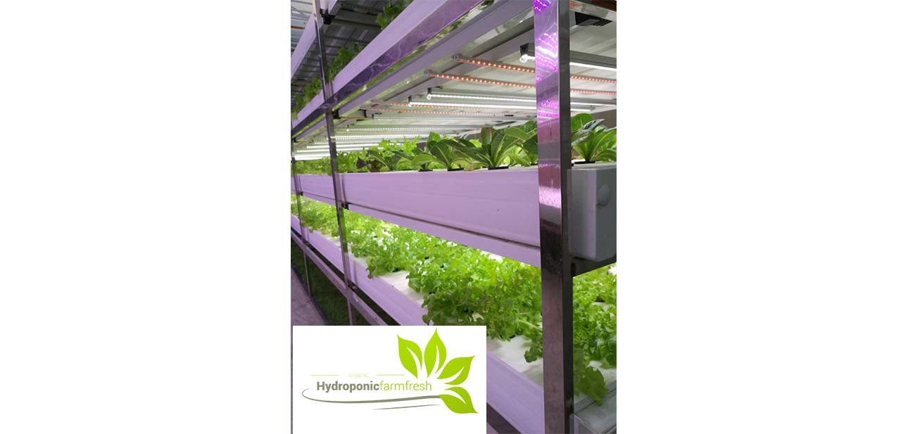 Hydroponic Farming