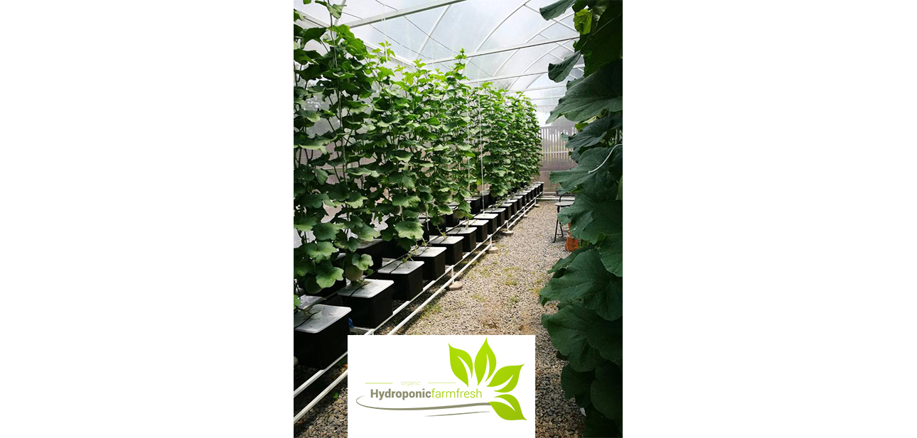Hydroponic