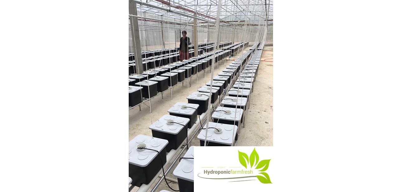 Hydroponic