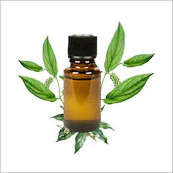 Camphor Oil