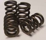 Valve Spring