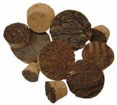 ब्राउन कॉर्क बार्क