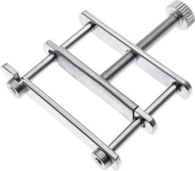 सिल्वर हॉफमैन एस क्लिप्स