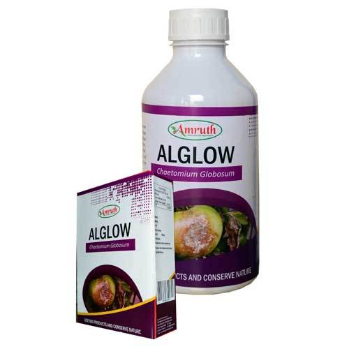 White Alglow