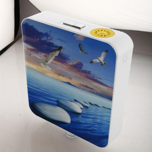 डिज़ाइनर डुअल फ्लश टैंक पुश बटन के साथ