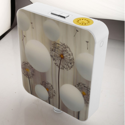 पुश बटन के साथ डिजाइनर फ्लश टैंक