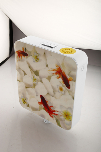 डिजाइनर में दोहरी फ्लश टैंक