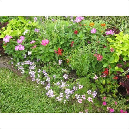 ब्राउन हाउस गार्डन फर्टिलाइजर