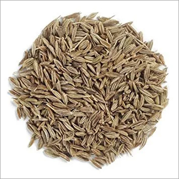  जीरा (जीरा) 