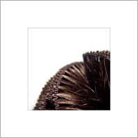 8 थ्रेड हेयर