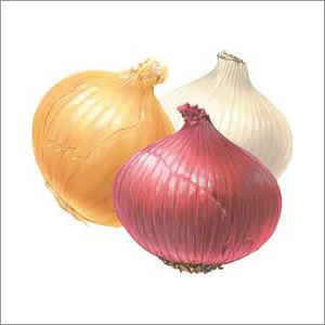 Pink Onion