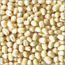 Urad Dal