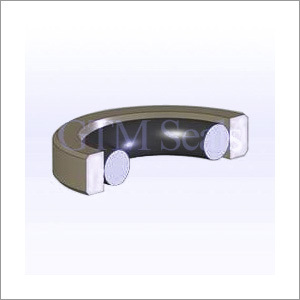 PTFE पिस्टन सील