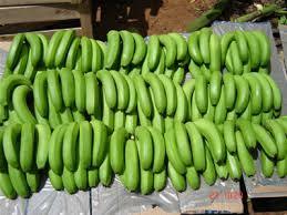 Cavendish Banana