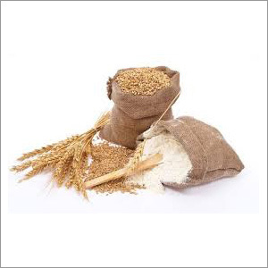 Wheat Flour