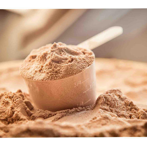 Protein Powder - Powder, 6 Months Shelf Life | Promote Healthy Growth