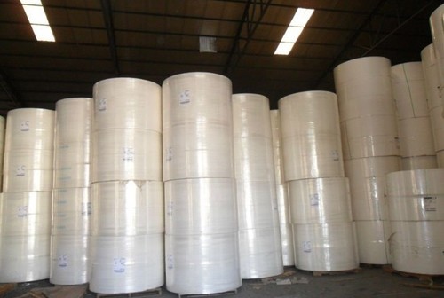 White Fluff Pulp Rolls (Untreated)