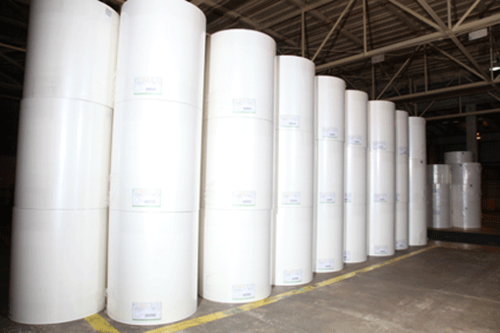 White Fluff Pulp Rolls (Treated)