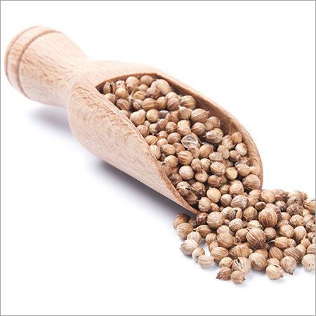 Coriander Seeds