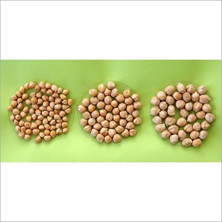 Brown Chickpeas