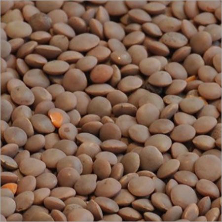 Red Lentils With Husk