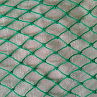 एचडीपीई ग्रीन ब्रेडेड स्पोर्ट्स एंड सेफ्टी नेट