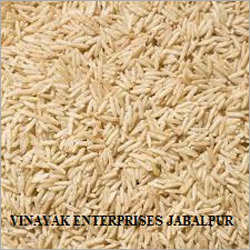 Common Rice