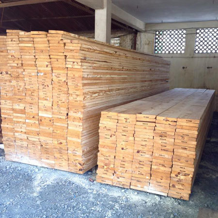 Teak Wood