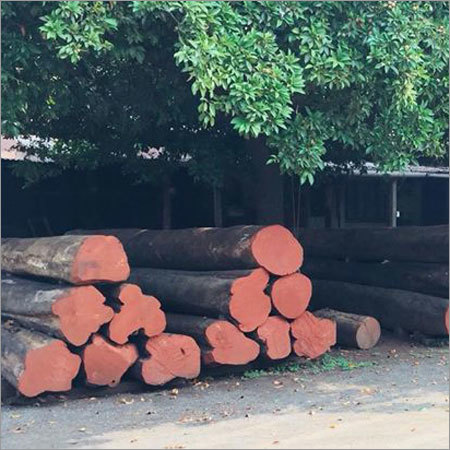 Valsadi Teak Round Logs