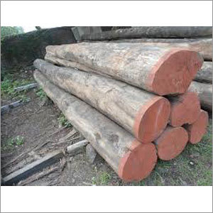 Valsadi Teak Round Logs