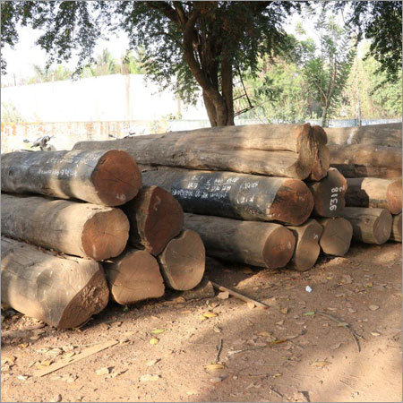 Valsadi Teak Round Logs
