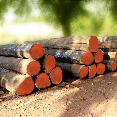 Valsadi Teak Round Logs