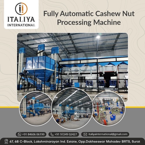 Automatic Cashew Nut Processing Machine - Iron and Steel, 320 Volt | User-Friendly Design, Low Power Consumption, High Operational Fluency