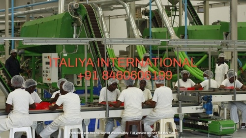 Cashew Nut Processing Machine - Material: Stainless Steel