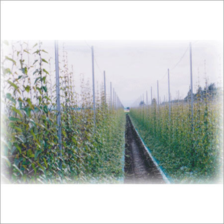 Agricultural Nets
