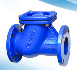 Cast Iron Non Return Valve