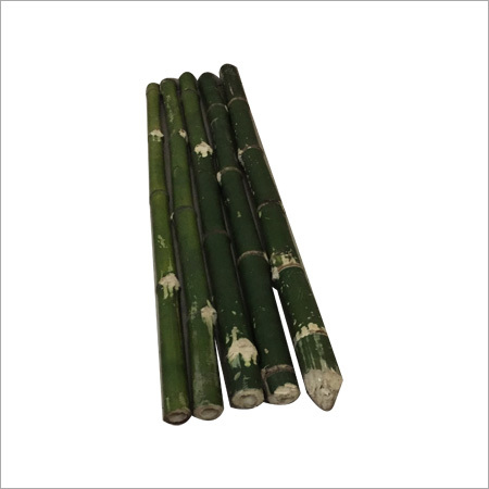 Bamboo Pole