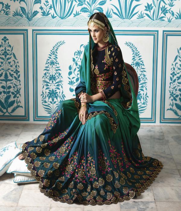 Ladies Embroidered Saree - Silk Fabric, Heavy Zari-resham Embroidery With Stone Work & Lace Border | Multi-colored Pattern, Bollywood Style