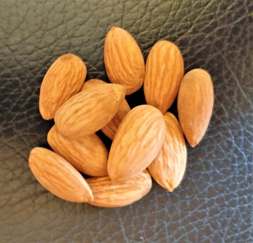 Almond Kernels