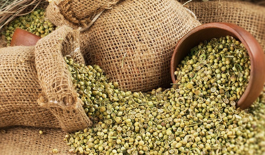 Coriander Seed