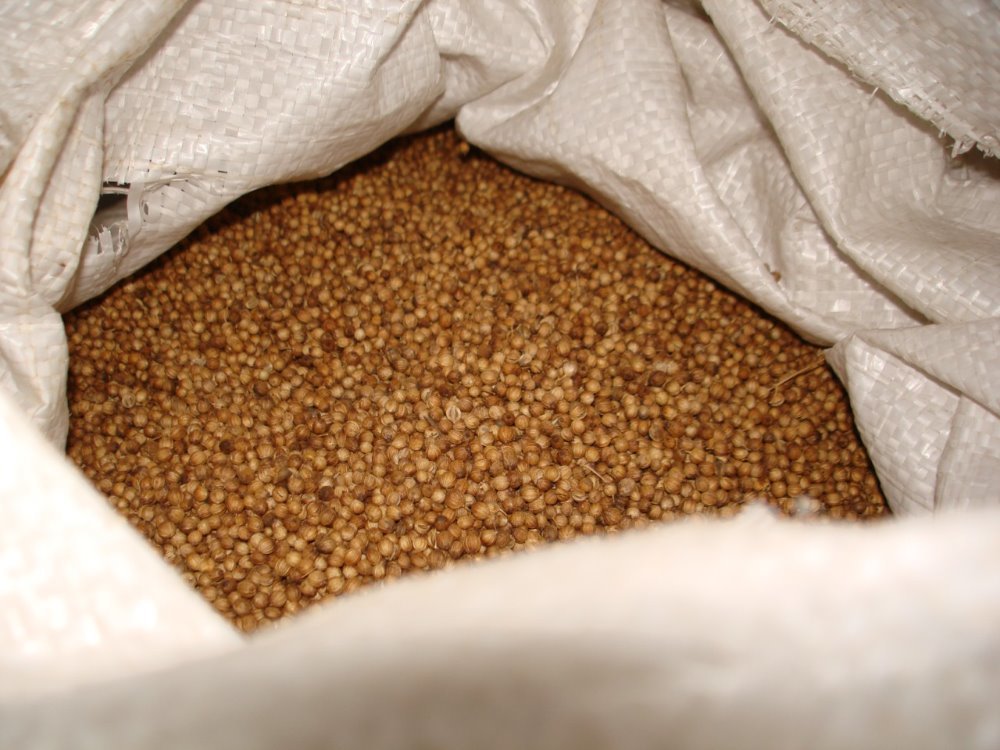 Coriander Seed