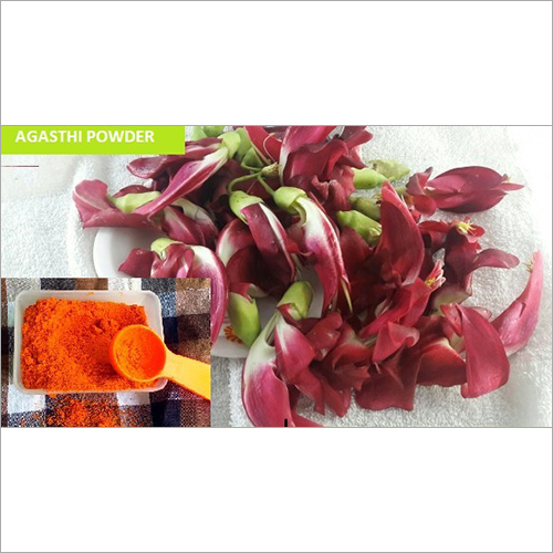 अगस्थी पाउडर