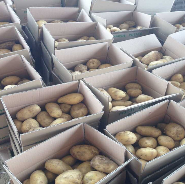 Fresh Potato