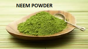 Coriander Powder
