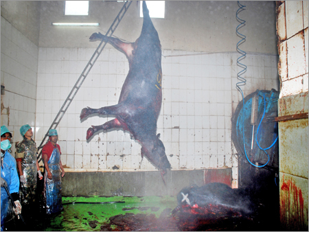 भैंस का मांस