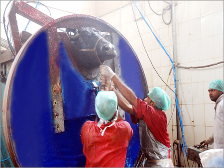 कॉर्नेड बफ़ैलो और बफ़ैलो मांस