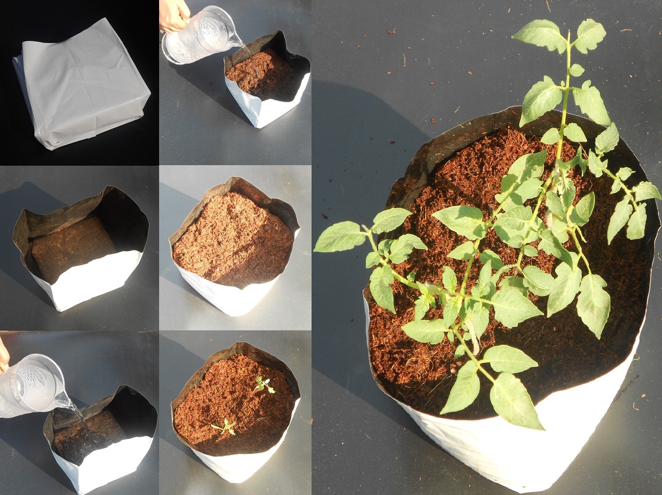Coco Peat 5kg Block - 100% Natural Soil Conditioner, Expands To 75 Liters, Promotes Healthy Plant Growth, Moisture Retention, Resistant To Bacteria And Fungus