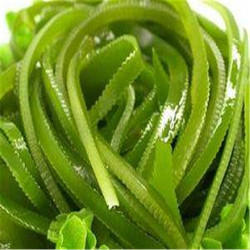 केल्प एक्सट्रैक्ट