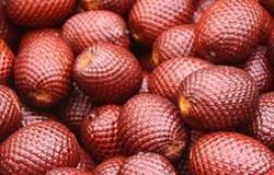 Aguaje Fruit Extract - 10:1 Extract Ratio, 1 kg HDPE Drum | Antioxidant Herbal Powder for All Ages