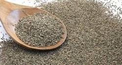 Ajwain Seed Extract - Powder Form, Food Grade, 25 Kilogram Minimum Order Quantity | Carminative, Antimicrobial, Liver Protective Properties, 3-Year Shelf Life